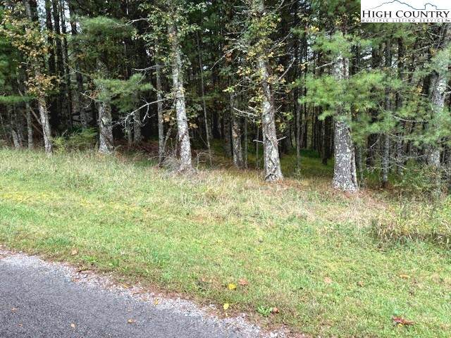 TBD River Forest Road - Photo 1