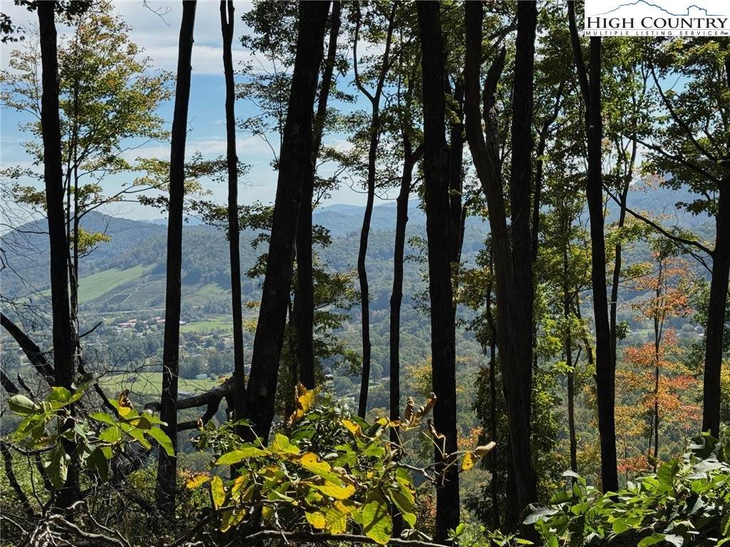 TBD Mystery Mountain - Photo 1