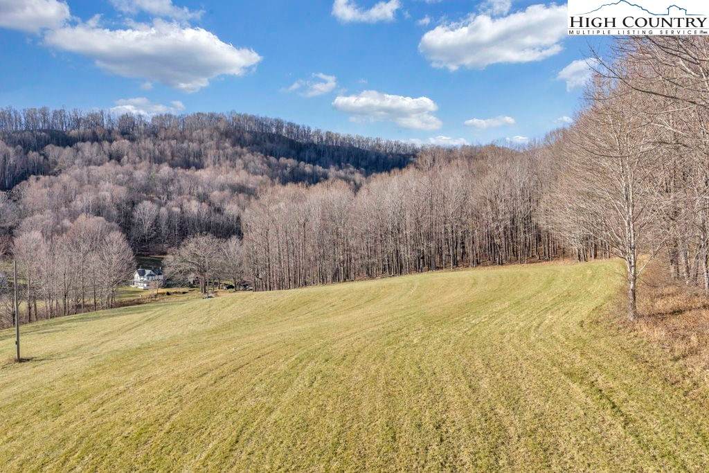 TBD Old Buffalo Trail - Photo 1