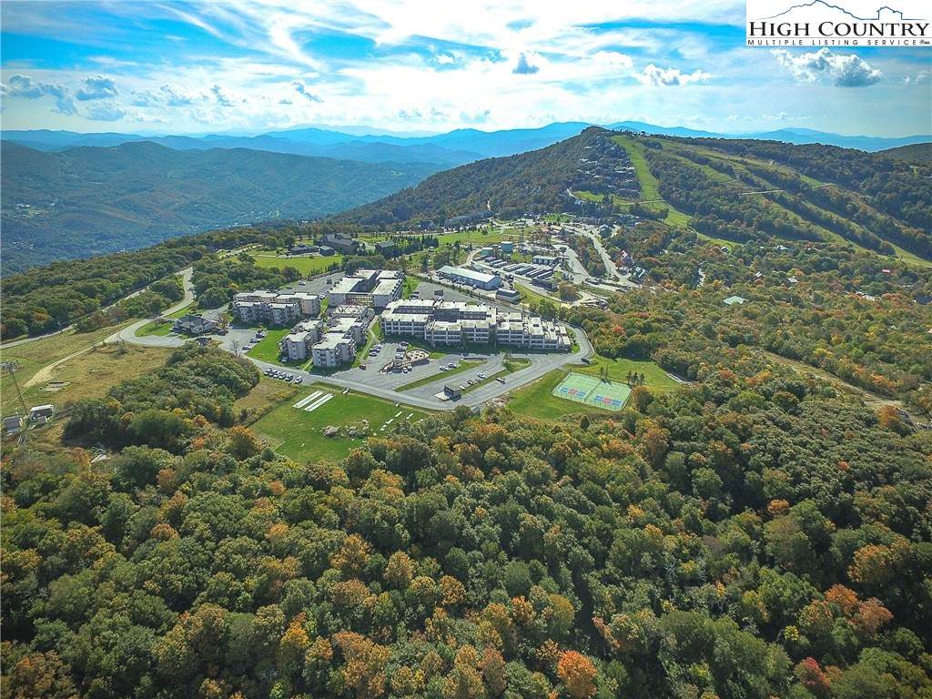301 Pinnacle Inn Road - Photo 1