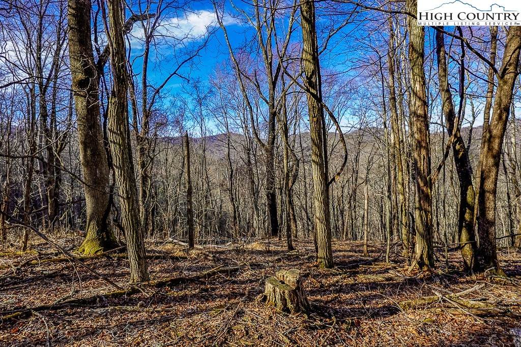 TBD Little Tree Lane - Photo 1