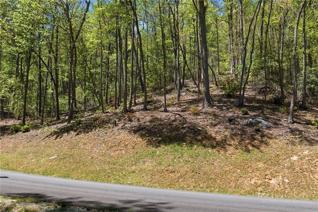 Lot 50 Wildcat Wilderness Reserve Parkway - Photo 1