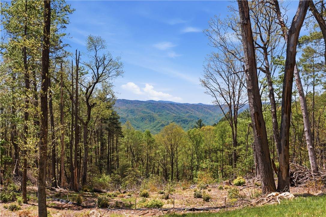 Lot 102 Angelfire Trail - Photo 1