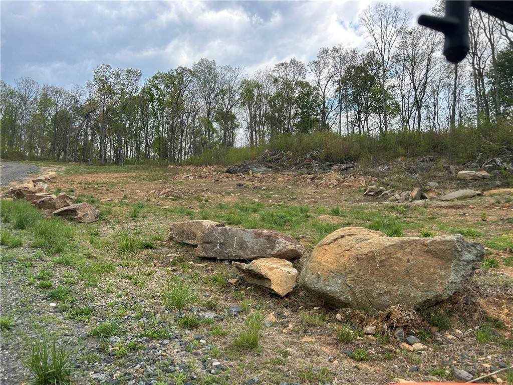 TBD Grant Houck Rd Road - Photo 1