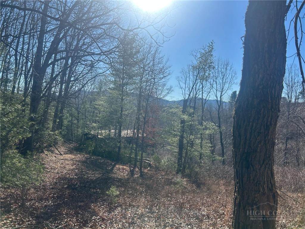7889 Old Highway 16 - Photo 1