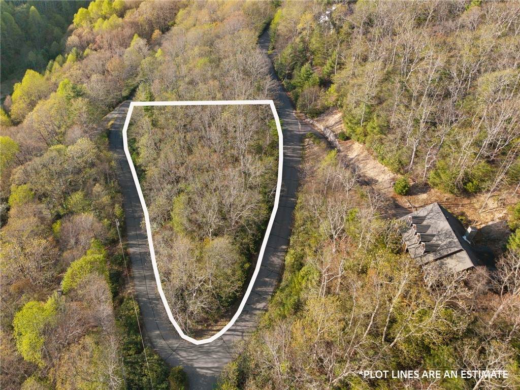 Lot 23 Highland Lakes Road - Photo 1