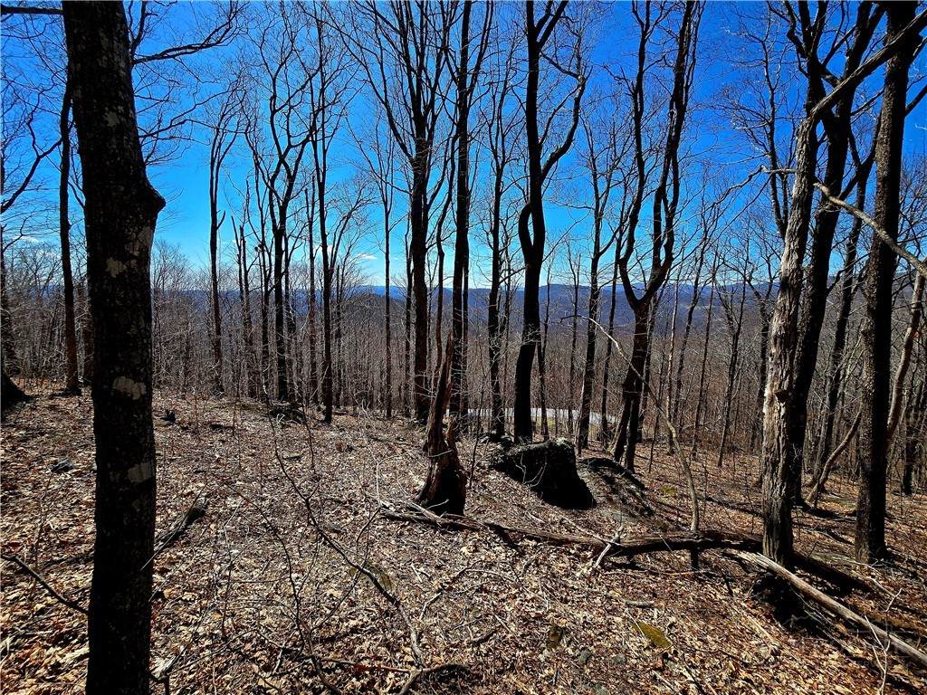 Lot 78 Elk Creek Mountain Parkway - Photo 1