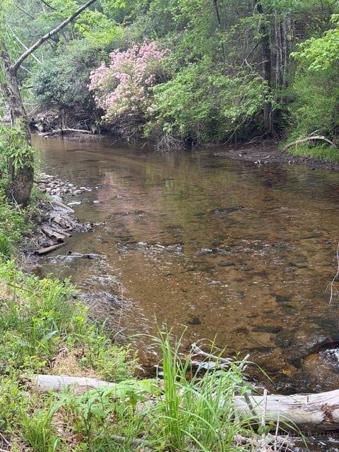 TBD Fraser Road - Photo 1