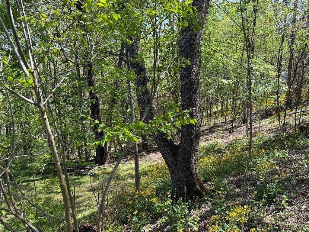 TBD Ski Mountain Road - Photo 1