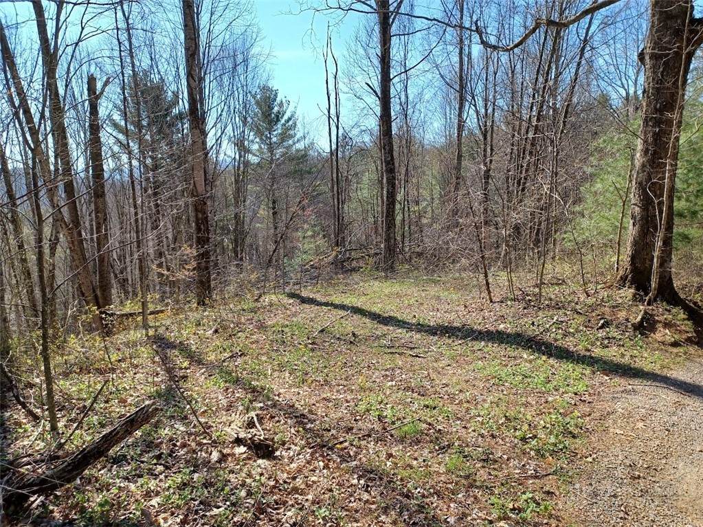 TBD Ed Vanover Road - Photo 1