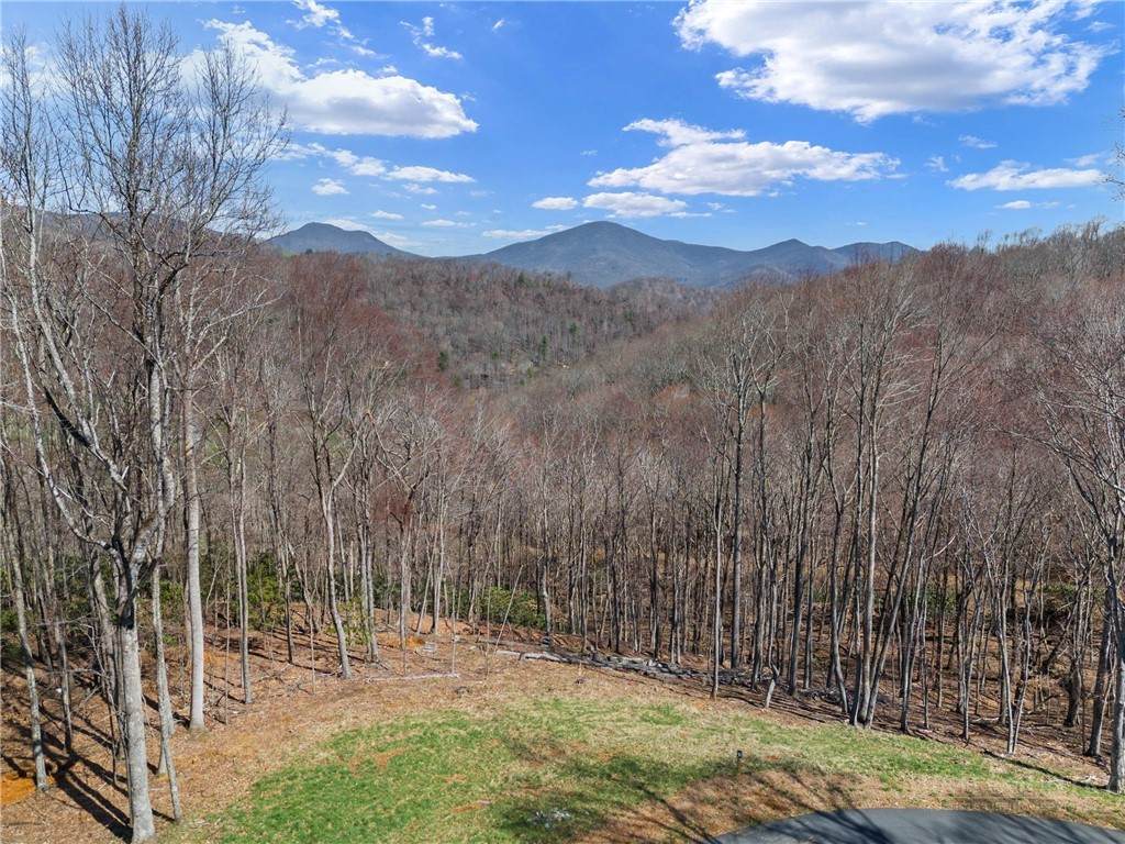 Lot 36 Poplar Forest Drive - Photo 1