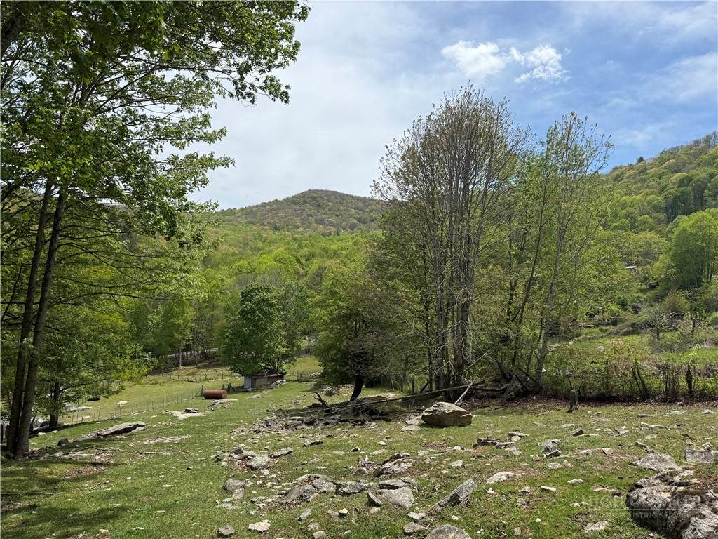 TBD Spice Creek Road - Photo 1
