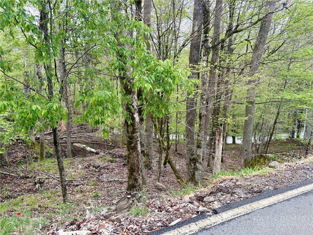 213 Lake Road - Photo 1
