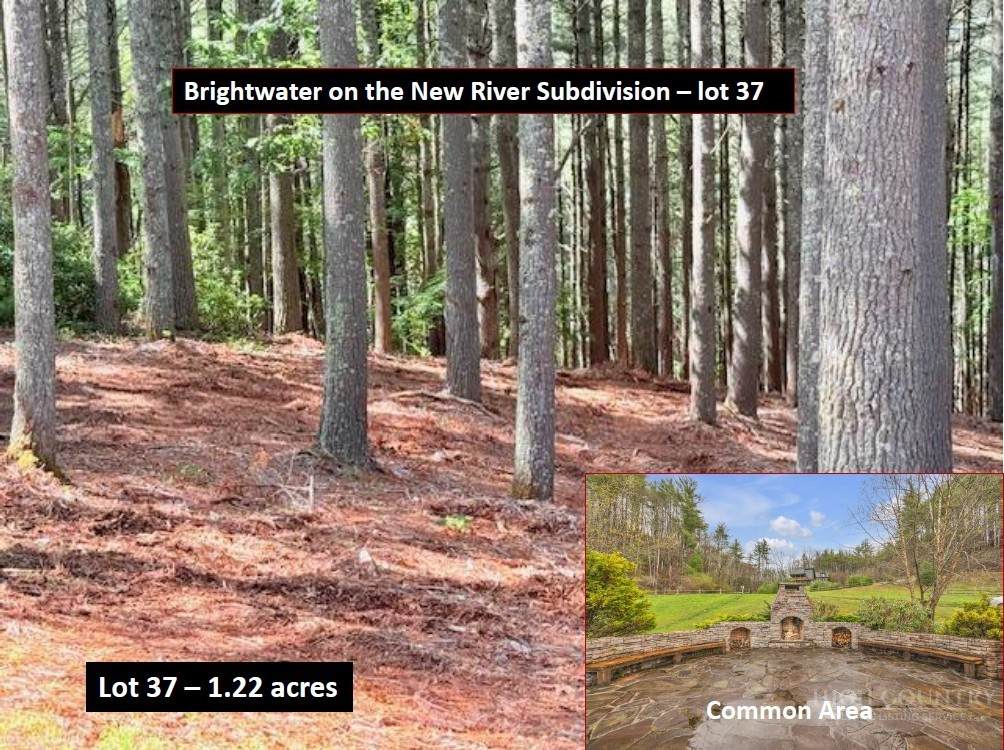 Lot 37 Smoke Rise Path - Photo 1