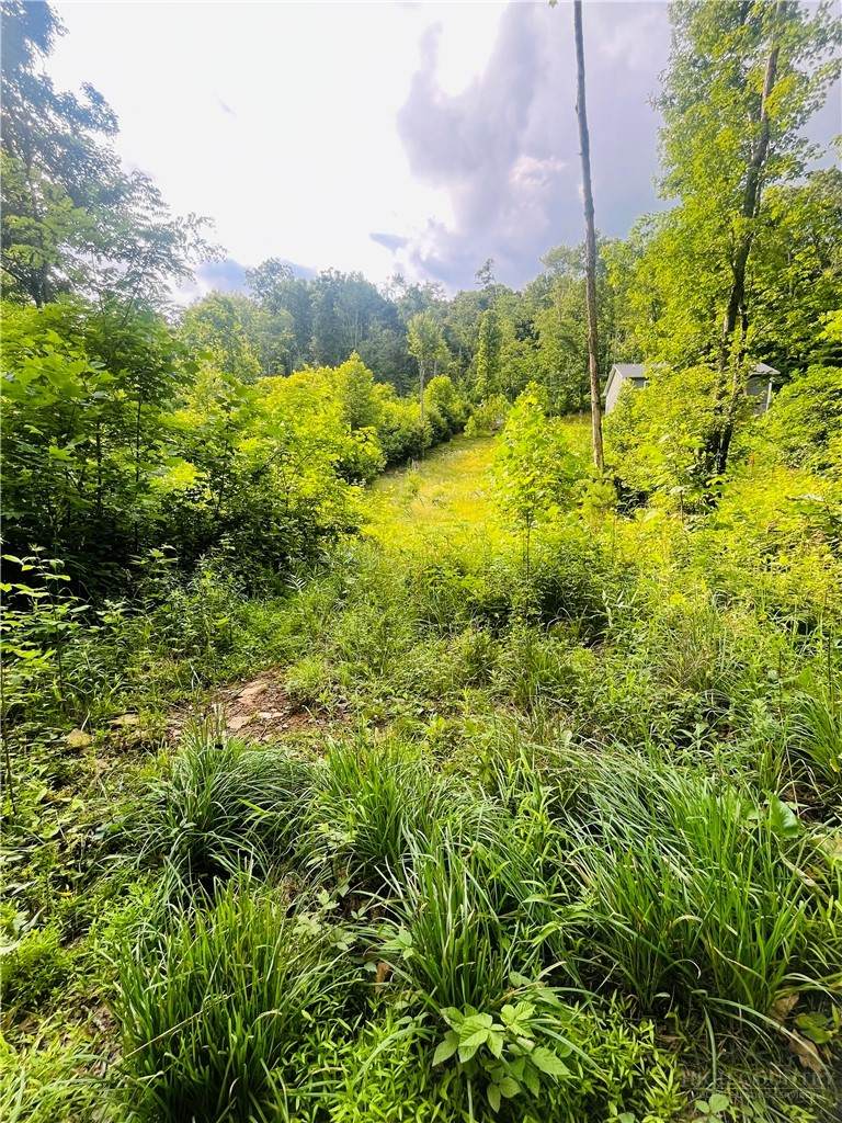 TBD Woodstown Road - Photo 1