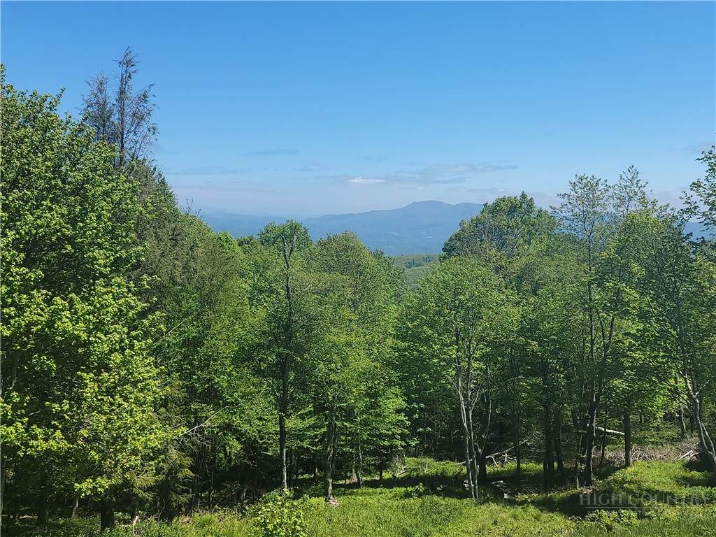 TBD Foxfire Drive - Photo 1