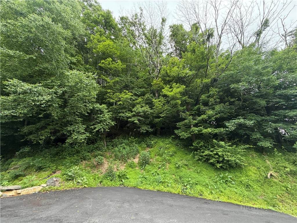 TBD Johns Mountain Road - Photo 1