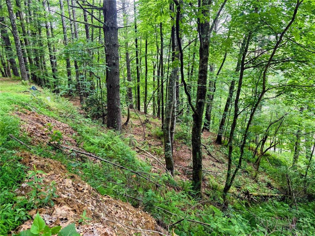 TBD New River Farms Road - Photo 1