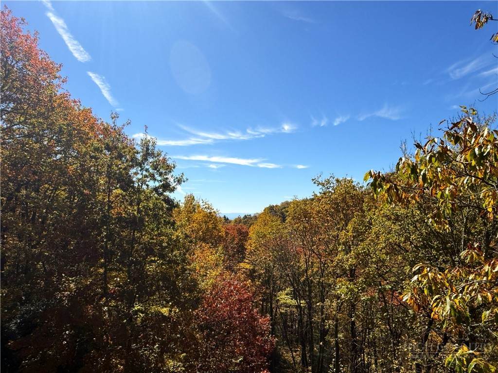Lot 61 Boone Coffey Trail - Photo 1
