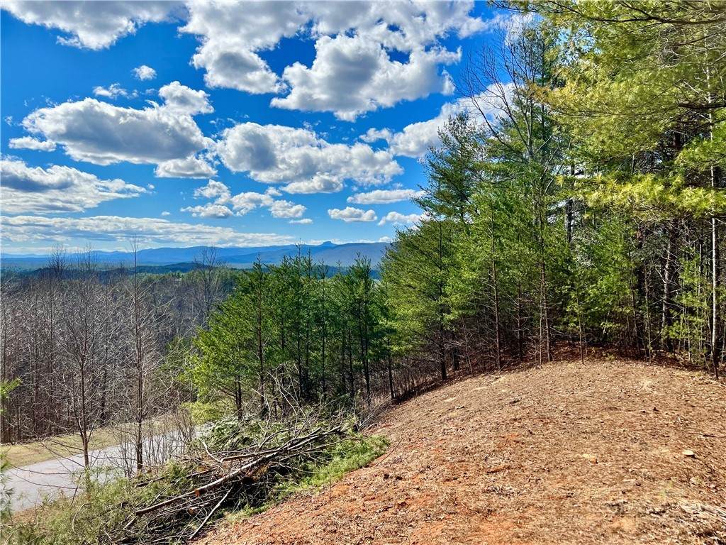 Lot 161/162 Rocky Falls Lane - Photo 1