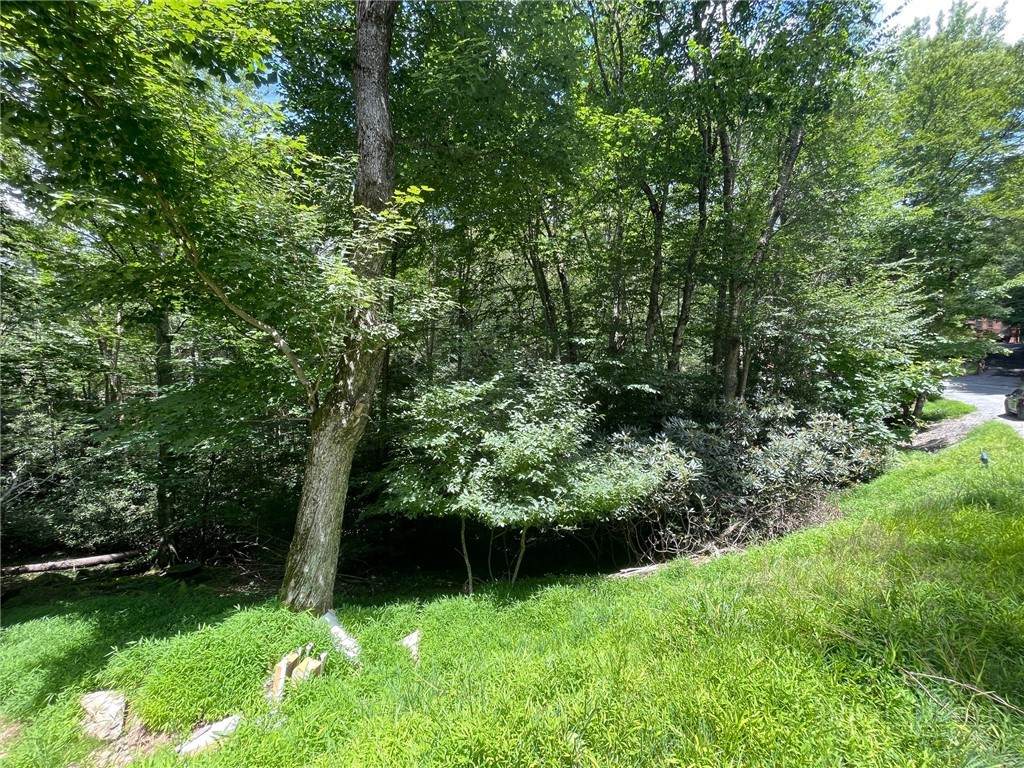 252 Greenbriar Road - Photo 1