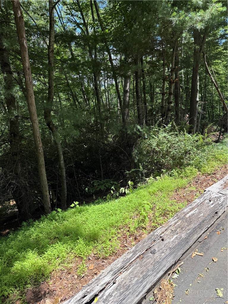 TBD Deerwood Road - Photo 1