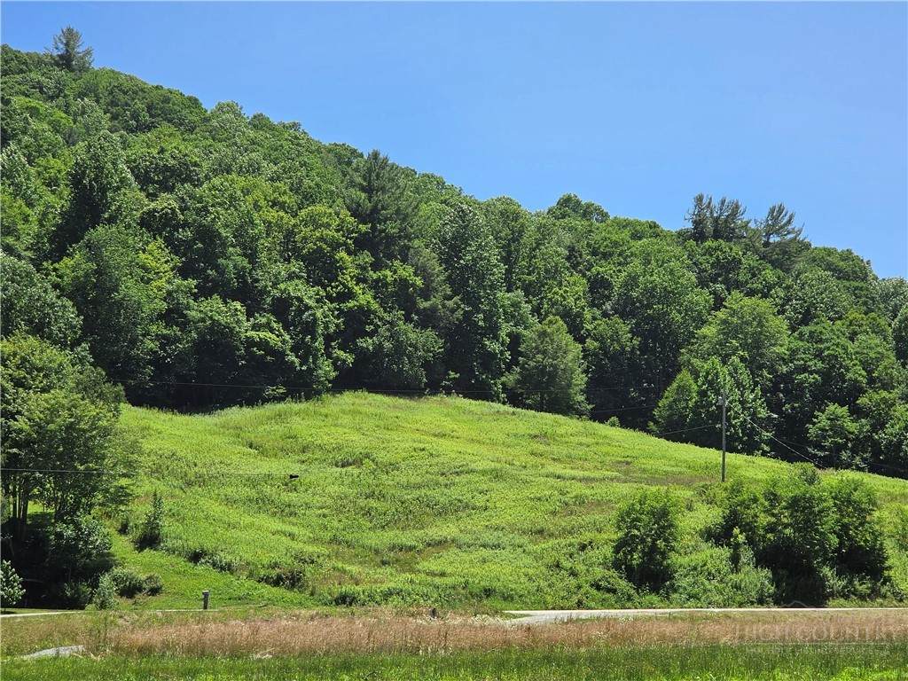 Lot 12 Elk River Road - Photo 1