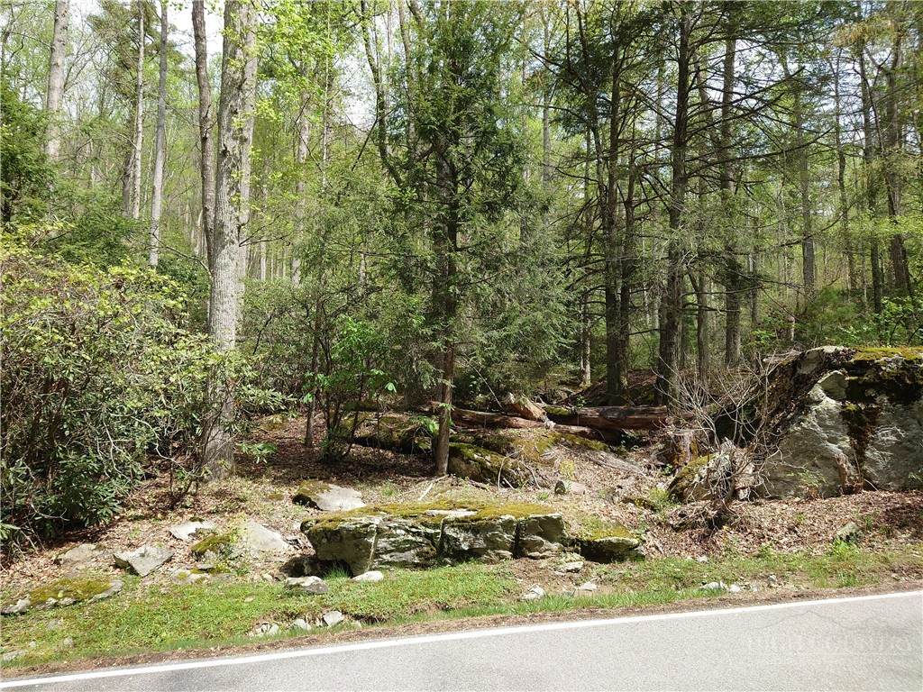 TBD Evergreen - Photo 1