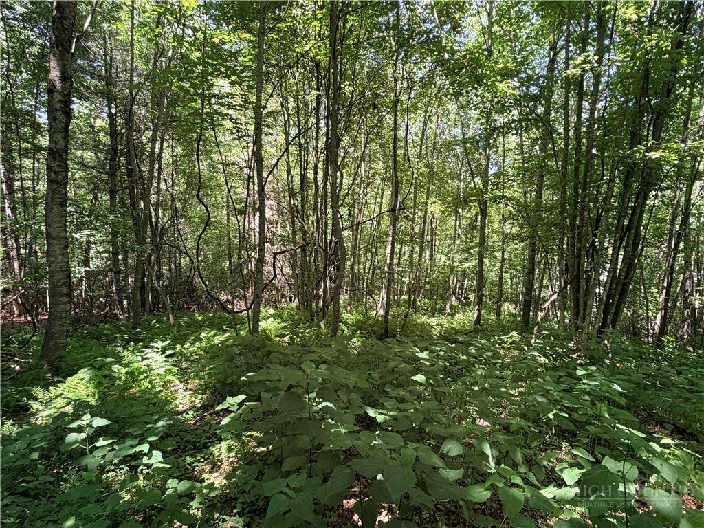 TBD Big Flatts Church Road - Photo 1