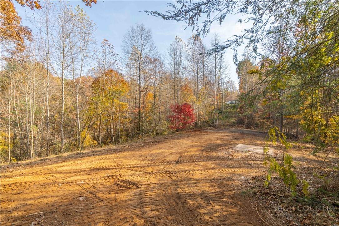 1165 Dehart Community Center Road - Photo 1