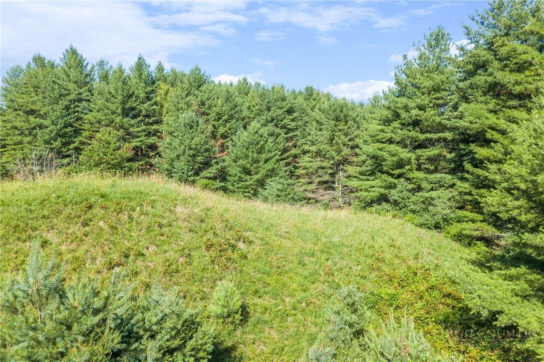 LOT 31 Alleghany Beauty - Photo 1