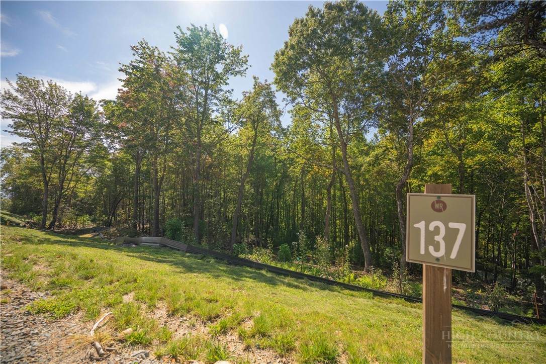 Lot 137 Angelfire Trail - Photo 1