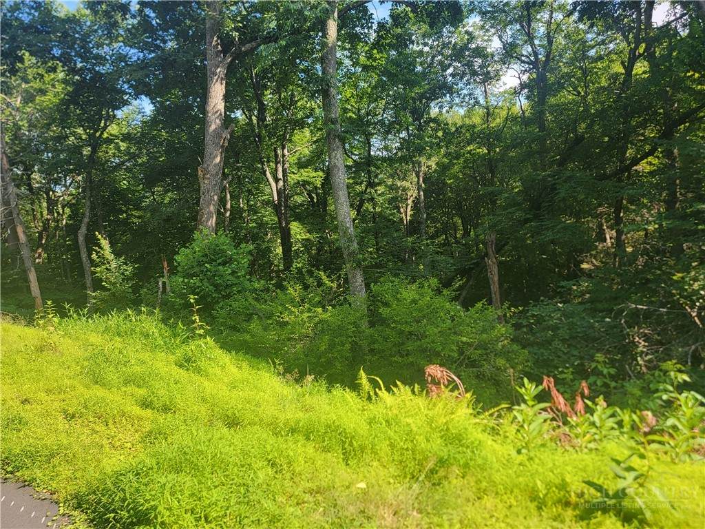 TBD Tree Top Drive - Photo 1
