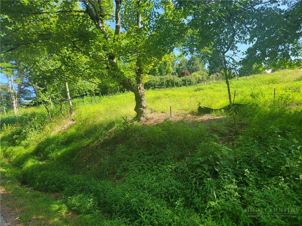 lot 66 Center Court Drive - Photo 1