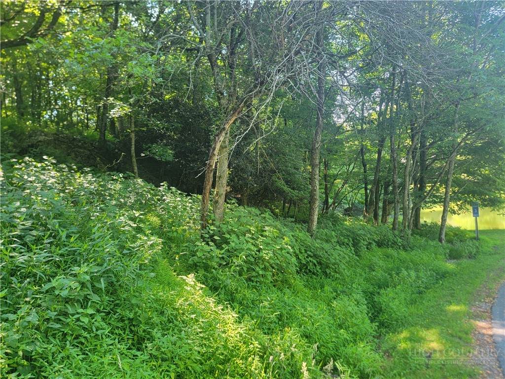 lot 68 Center Court Drive - Photo 1
