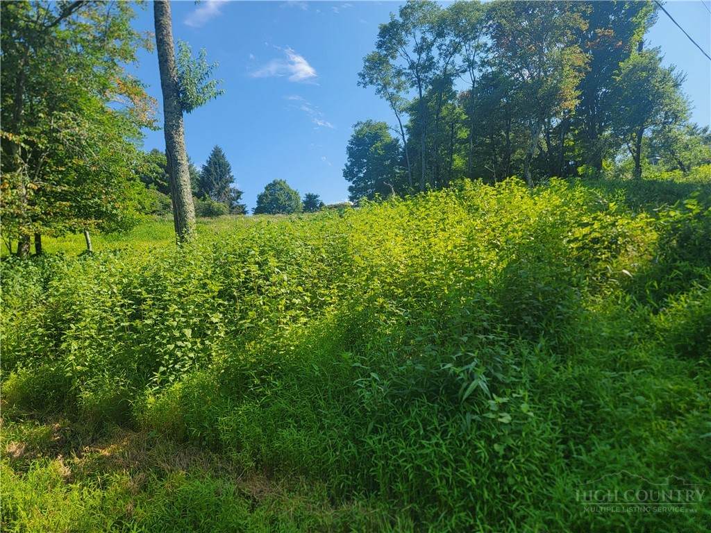 Lot 67 Center Court Drive - Photo 1