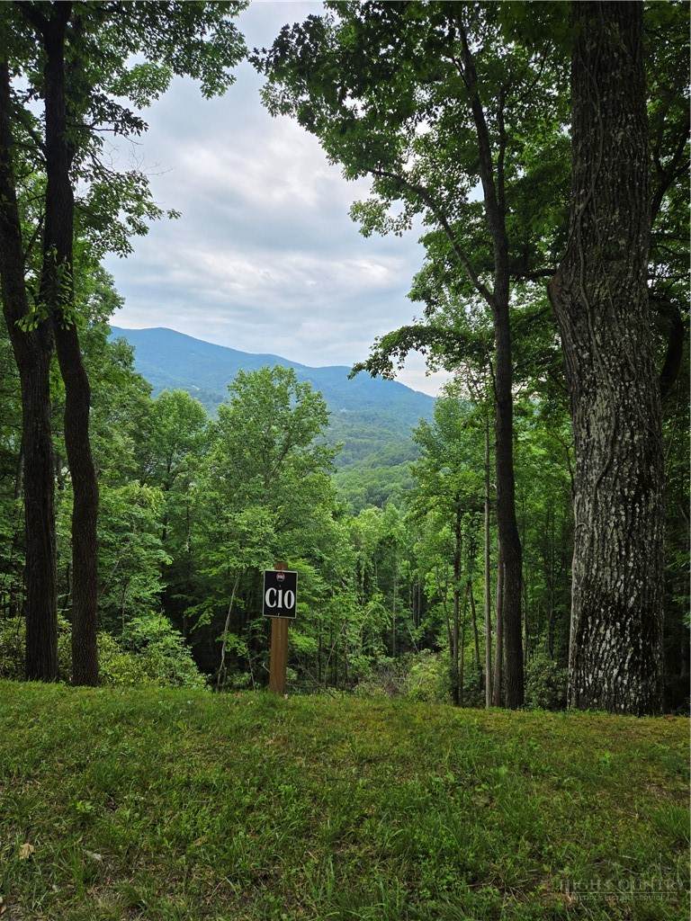 Lot C10 Bear Paw Road - Photo 1