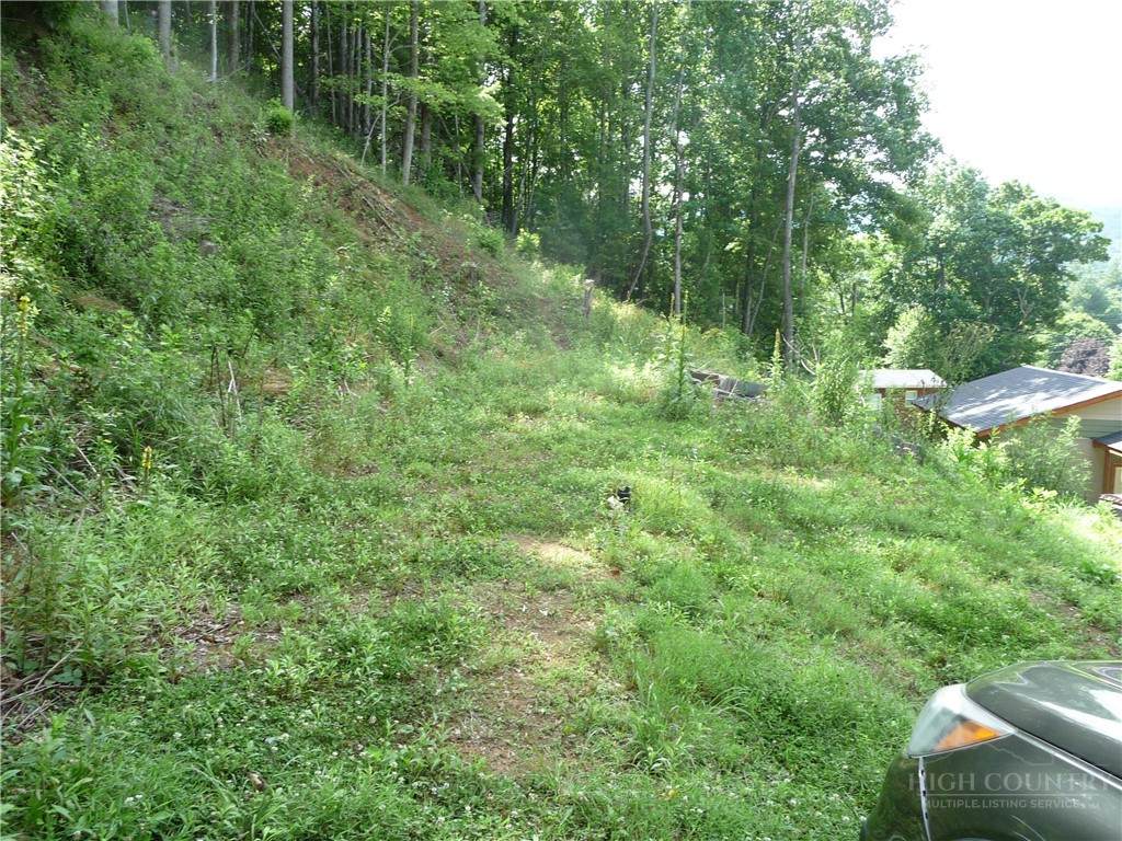 870 Bairds Creek Road - Photo 1