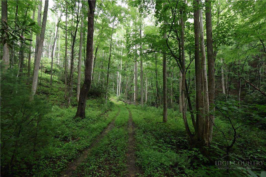TBD Blowing Rock Road - Photo 1
