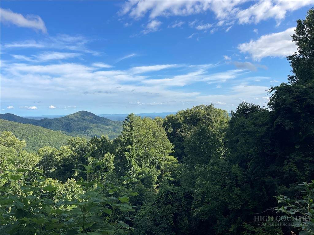 Lot 4 Scenic Acres - Photo 1