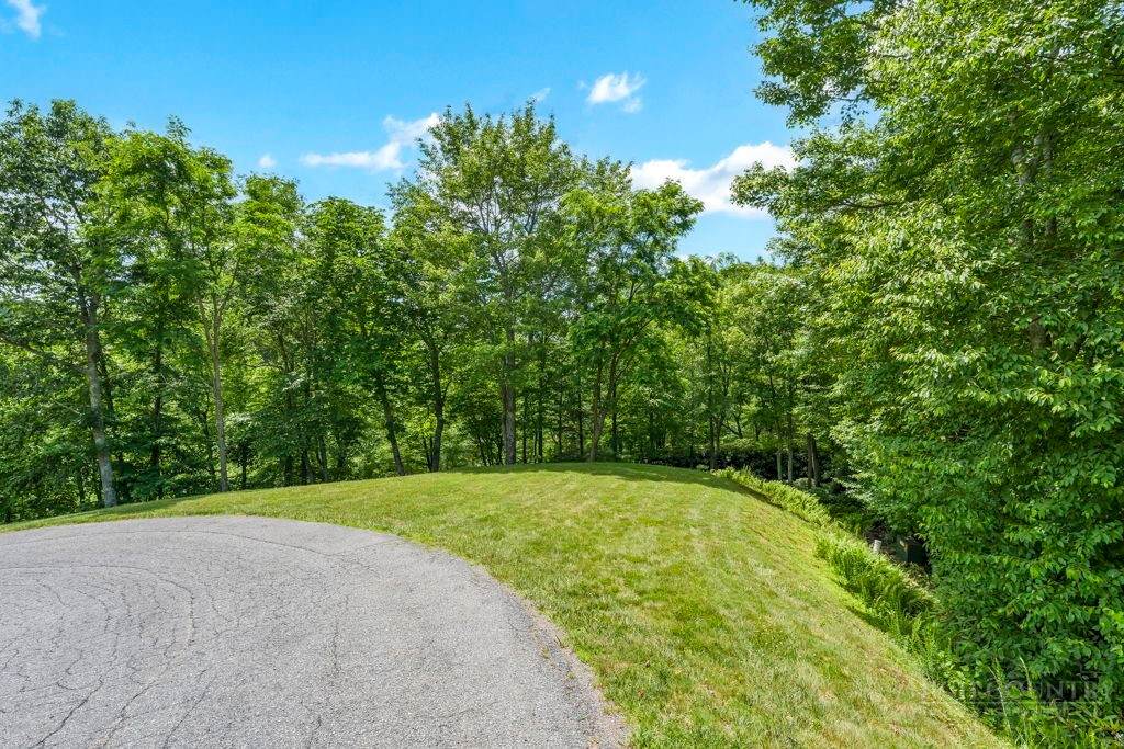 Lot 134 Tbd Firethorn Trail - Photo 1