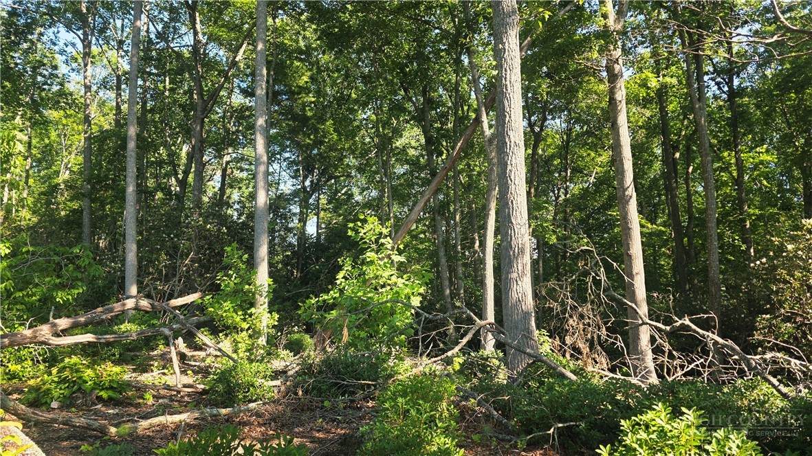 Lot 122 Pine Tree Drive - Photo 1