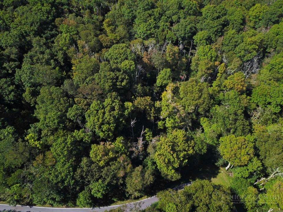 TBD Red Clover Road - Photo 1