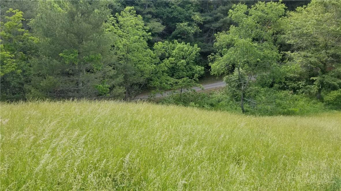 Lot 22 Rachel Way - Photo 1