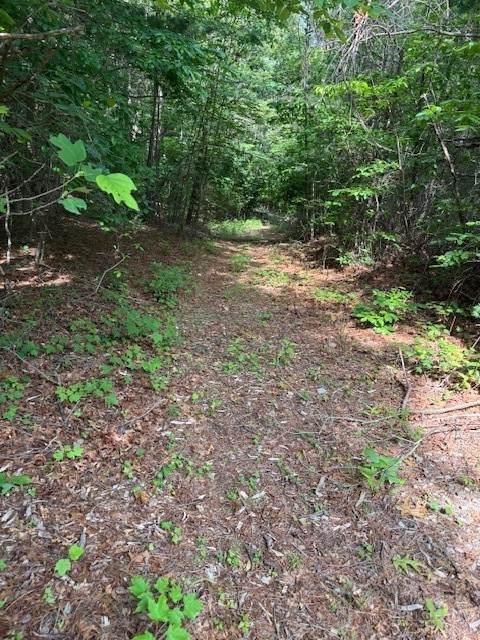 79 Elk Horn Road - Photo 1