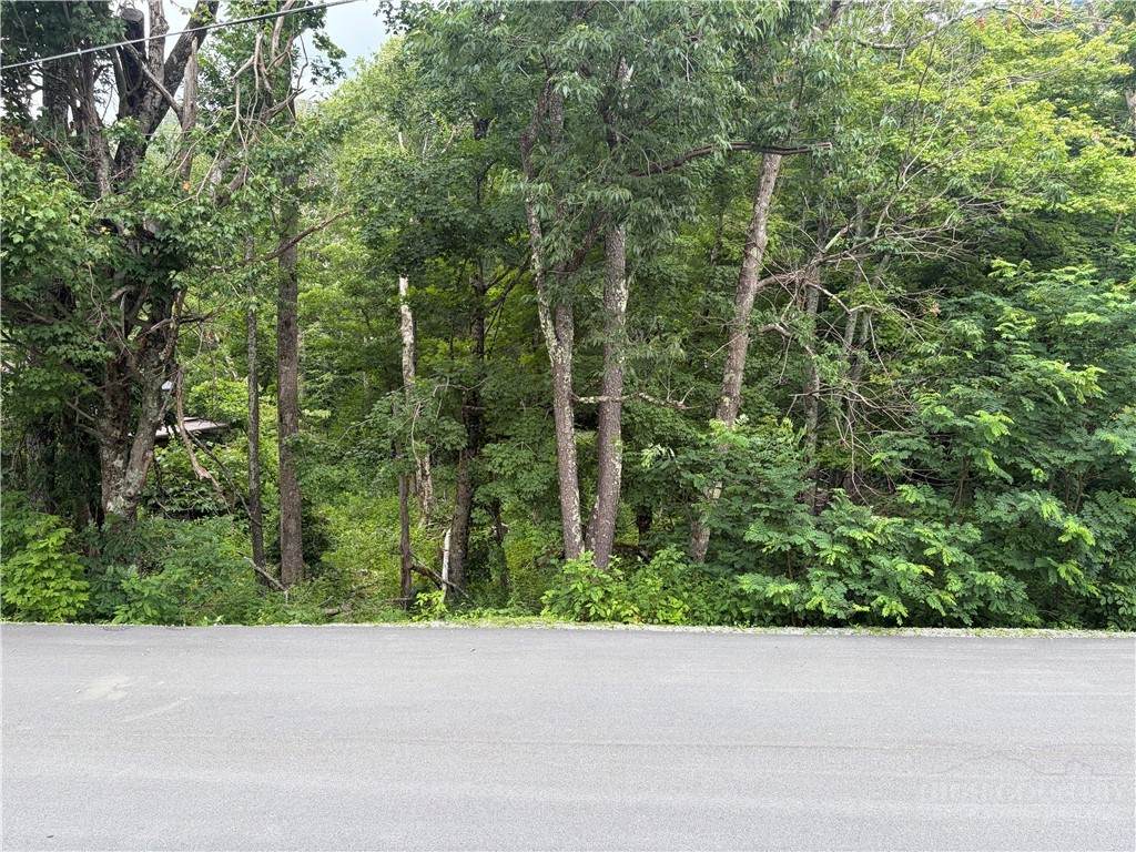 https://bt-photos.global.ssl.fastly.net/boone/orig_boomver_1_263187-2.jpg