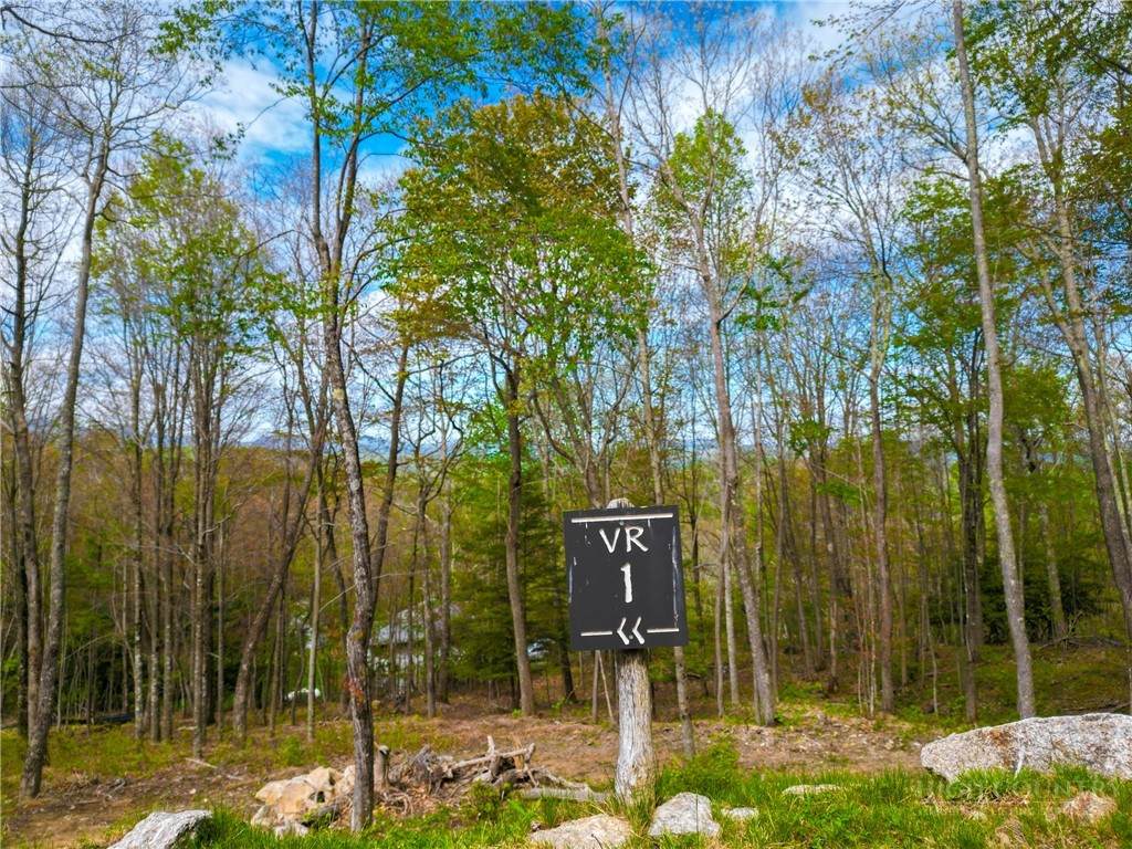 VR1 Red Sky Parkway - Photo 1