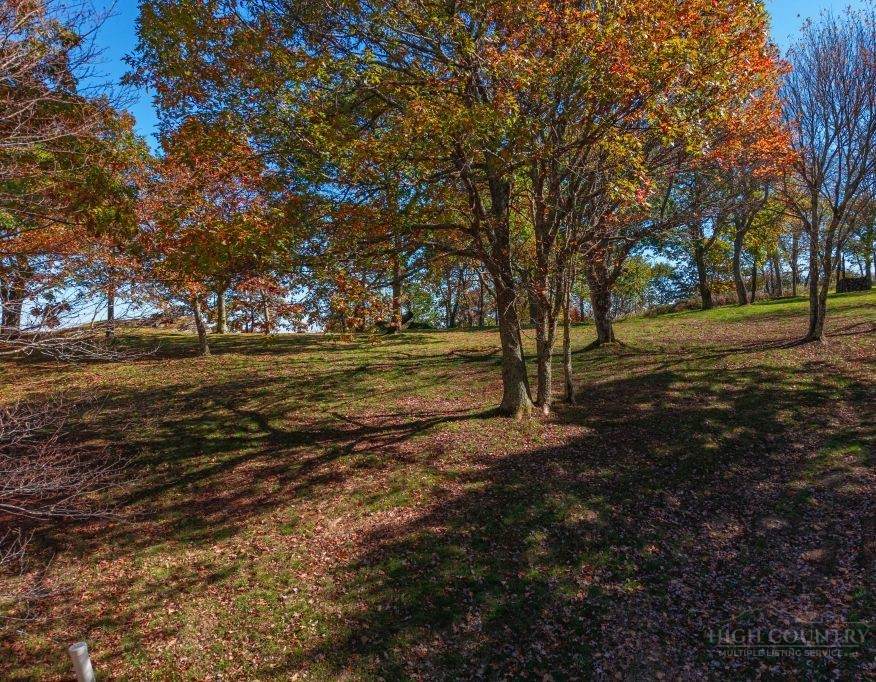 Lot 60 Rocky Parkway - Photo 1