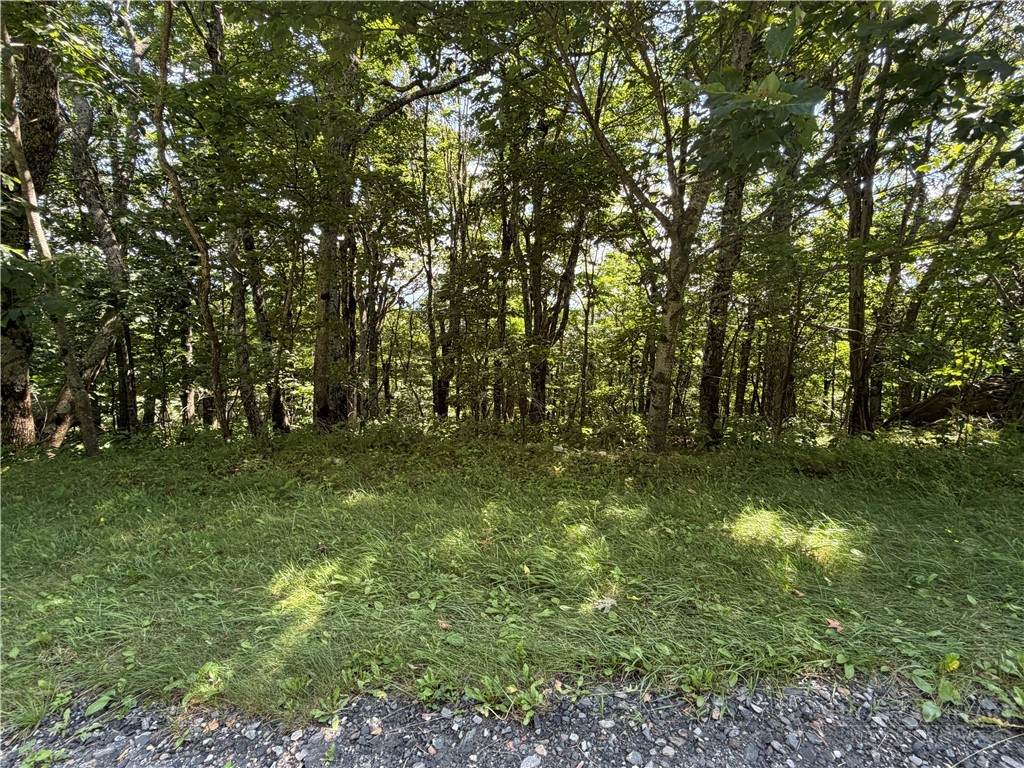 TBD Pinnacle Drive - Photo 1