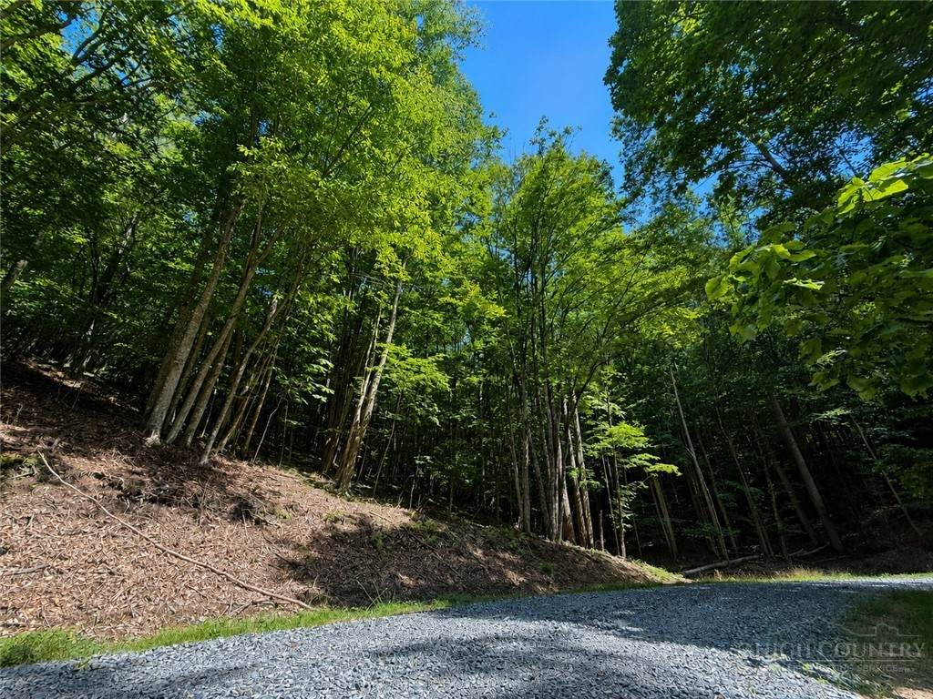 146 Sassafrass Road - Photo 1